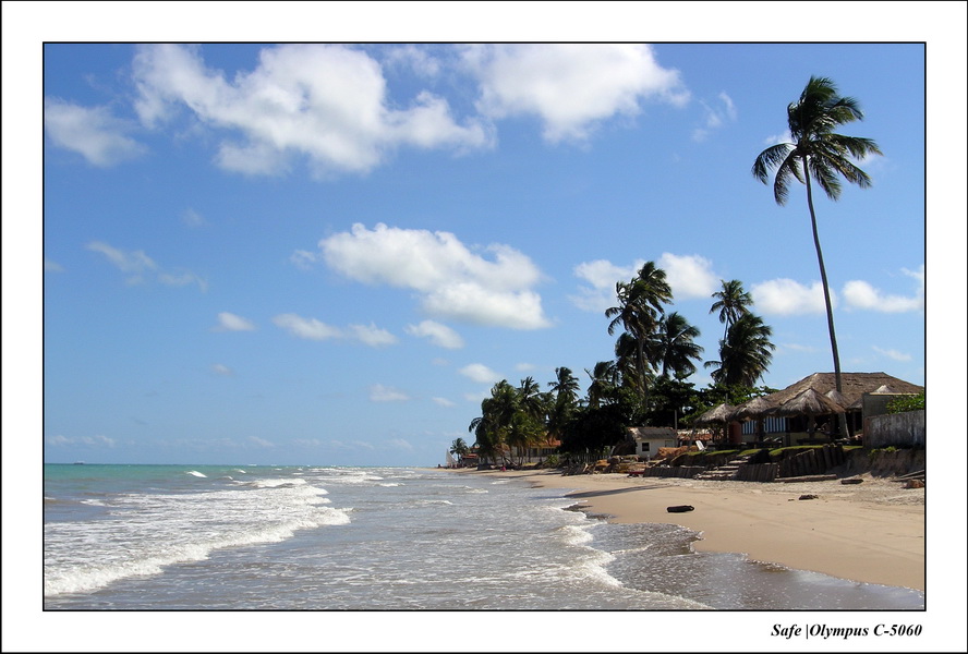 2005 - 11 - Maragogi - parc marin de gales 08.JPG